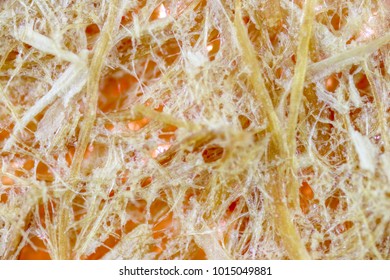 Background Oil Palm Fiber Close Oil Stock Photo 1015049881 | Shutterstock