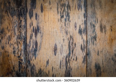 Mold Wood Texture Images Stock Photos Vectors Shutterstock