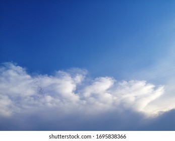 Beautiful​ sunset​ twilight​ for background. Dim​ cloudy​ on the​ blue​ sky. Sunset​ sky. Cloudy​ on​ blue​ sky. White​ clouds​