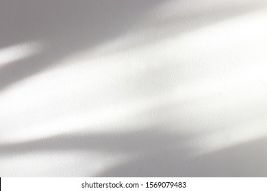 Background Of Organic Shadow Over White Textured Wall