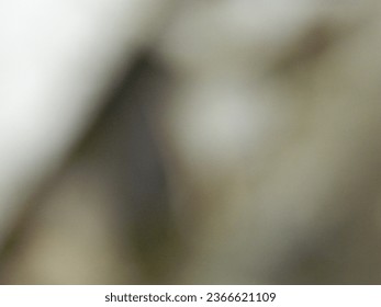 background is out of focus (blur) - Shutterstock ID 2366621109