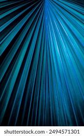 Background of palm leaf. Texture of blue palm Leaf. blue palm leaf pattern. natural bright backdrop.  Design template wallpaper. Leaf close up. Plant leaves macro. Surface texture macro closeup.