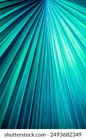 Background of palm leaf. Texture of teal blue palm Leaf. blue palm leaf pattern. natural bright backdrop. Design template wallpaper. Leaf close up. Plant leaves macro. Surface texture macro closeup bg
