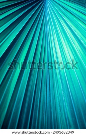 Background of palm leaf. Texture of teal blue palm Leaf. blue palm leaf pattern. natural bright backdrop. Design template wallpaper. Leaf close up. Plant leaves macro. Surface texture macro closeup bg