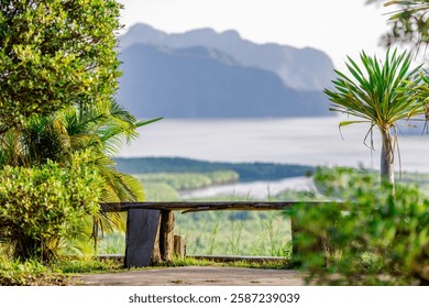 Background of panoramic high angle view on high mountain, overlooking the sea, mangrove forest, various trees and sky light changing color according to the time of sunrise,the completeness of natural.