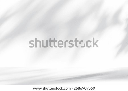 Background Pattern In Abstract Vector Business Texture And Design, 3D Kitchen Illustration With Light, Home Space Concept, Wall In White Interior, Modern Minimal Studio Scene And Product Presentation
