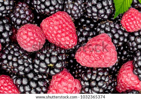 Background pattern of close-up fresh picked blackberries and raspberries with leaves.