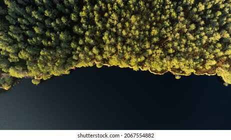 background with a pattern of gold
