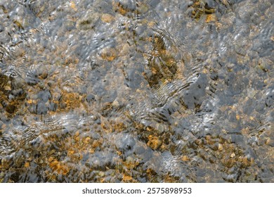 Background pattern and texture of sparkling clear river water ripples. River water penetrates the rocks at the bottom of the river. Creates calm and peace. For graphic design or banner background