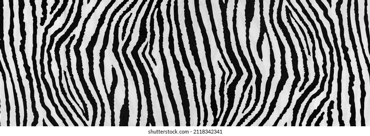 Background, pattern, texture, wallpaper, zebra print - Powered by Shutterstock