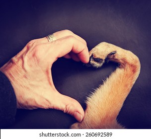 Background Of A Person And A Dog Making A Heart Shape With The Hand And Paw Toned With A Retro Vintage Instagram Filter Effect App Or Action