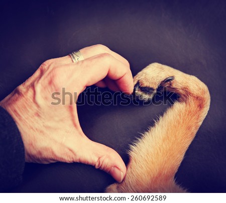 background of a person and a dog making a heart shape with the hand and paw toned with a retro vintage instagram filter effect app or action