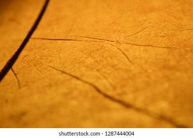 background picture: leather structure in yellow/brown - Shutterstock ID 1287444004
