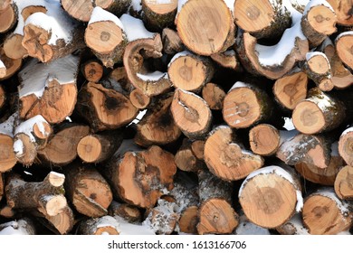 Background picture of a log pile in winter covered in snow. - Shutterstock ID 1613166706