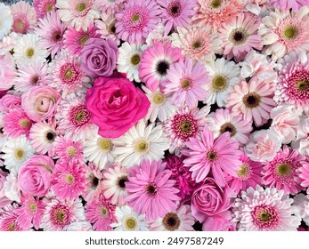 Background of pink and white flowers, including roses, daisies, and chrysanthemums. The delicate petals and various shades of pink create a beautiful, harmonious floral display. - Powered by Shutterstock