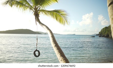 Background Plate Of Long Palm Tree With A Tire Swing During The Sunset 