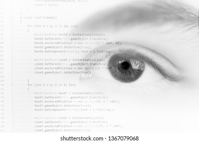 background programming language and eye programmer training at university
