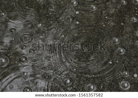 background puddle rain / circles and drops in a puddle, texture with bubbles in the water, autumn rain