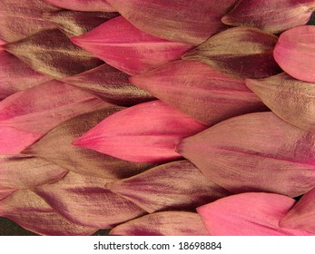 Background of purple leaves overlapped, vertically oriented