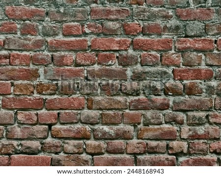 Background rash wall in Pakistani house