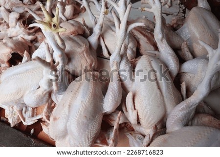 Background of raw chickens. Chicken carcasses at a poultry farm