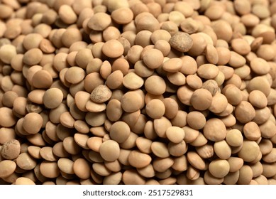 Background of raw lentils, organic food