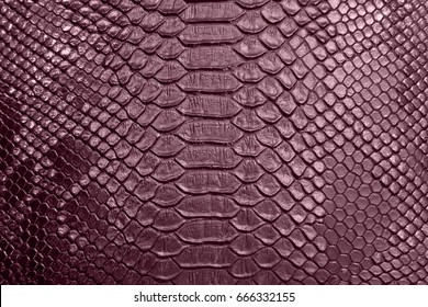 background of red crocodile skin textured