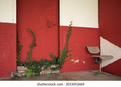 Background red and white wall with ivy and red door in front of it old office chair a lost place for sitting and meditation - Powered by Shutterstock