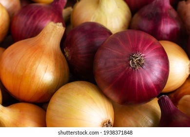 Background from red and yellow onions. Healthy vegetable, copy space, group
