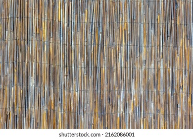 Background of reed. Traditional fence made of bamboo reed. Asian style. The texture of the dry reeds. Dry grass or cane. Backgrounds and wallpapers for your desktop, natural textures.