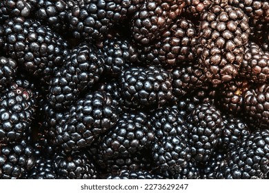 background from ripe blackberry. Food photo. Close up of berries - Shutterstock ID 2273629247
