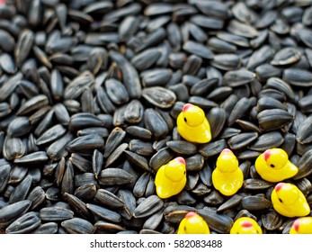 Background Of Roasted Black Sunflower Seeds With Little Yellow Ducks Floating In The Lower Right Corner