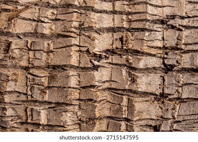 Background of rough, dry tree bark. The texture is deeply furrowed and segmented into geometric, scale-like plates, showing shades of brown and tan under bright sunlight.