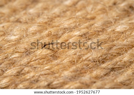 A background of roughly knitted fabric in soft focus under high magnification. Synthetic fabric stylized as an old, chunky-knit linen thread.