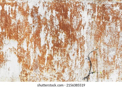 Background rusty iron sheet stained with white paint with red spots of rust and destruction close-up with the shadow of a plant illusion for copy space layout - Shutterstock ID 2156385519