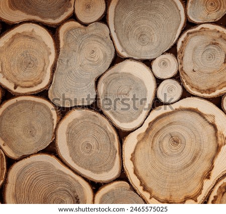 background of sawn tree trunks