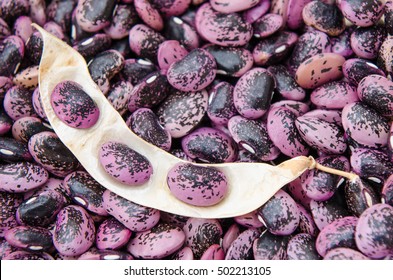 Background Of Scarlet Runner Beans.