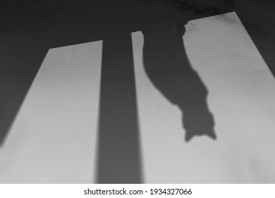 Background with shadow of cat sitting on a window