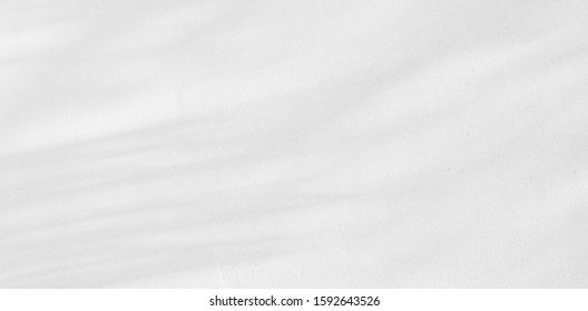 Background shadow and Nature shadows.Gray shadows trees leaf on white wall. Abstract shadows nature concept blurred background.White and Black.Texture shadows
 - Shutterstock ID 1592643526
