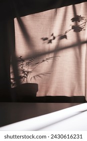 Background with shadows shining through a window with sunlight  streaming in.