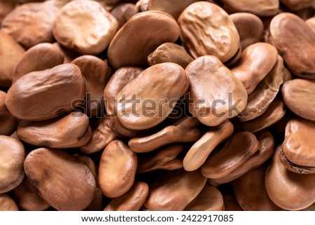 Background of shelled dried broad beans, vegetarian diet