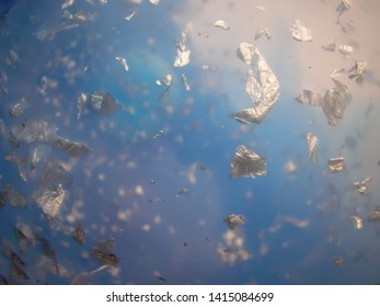 Imagenes Fotos De Stock Y Vectores Sobre Shiny Fly Shutterstock