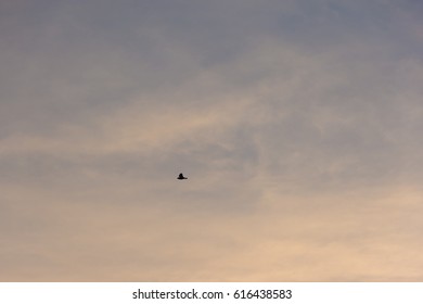 Background of sky and clouds