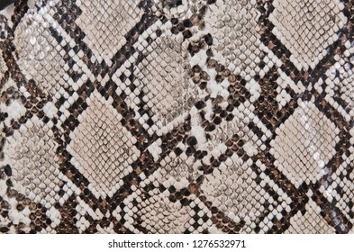 background of snake pattern handbag texture


