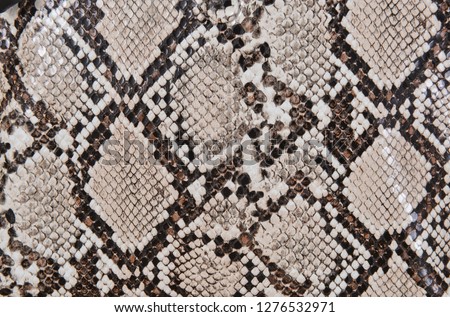 background of snake pattern handbag texture


