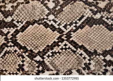 background of snake skin texture