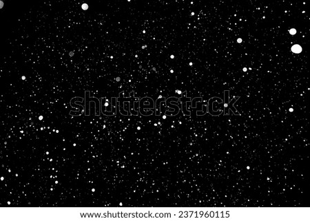 Background snowfall on a black background. Isolate. Blizzard a lot of small snowflakes. Falling snow