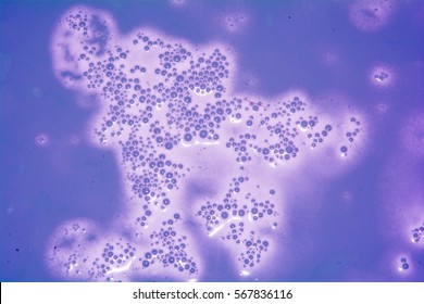 Background of soap foam