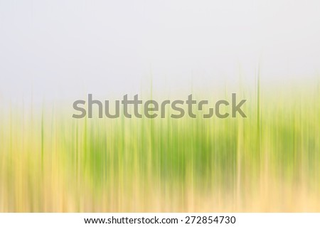 Similar – Image, Stock Photo calyptra Colour photo