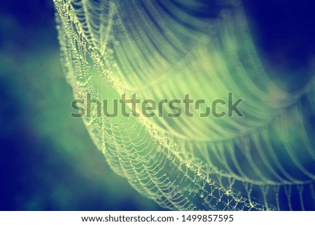 Similar – Image, Stock Photo blue hour Nature Plant Air